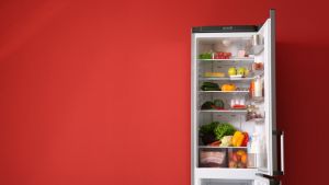 fridge-types