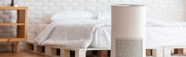 What is an Air Purifier and Do You Need One?