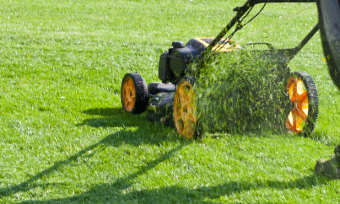 Masport: New Zealand's Best Lawnmowers