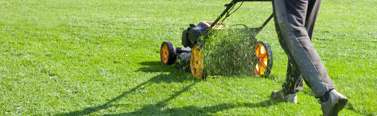 Masport: New Zealand's Best Lawnmowers