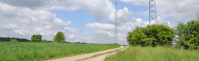 Best Rural Broadband Plans NZ