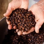 Farmer coffee beans