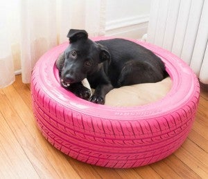 car tyre dog bed