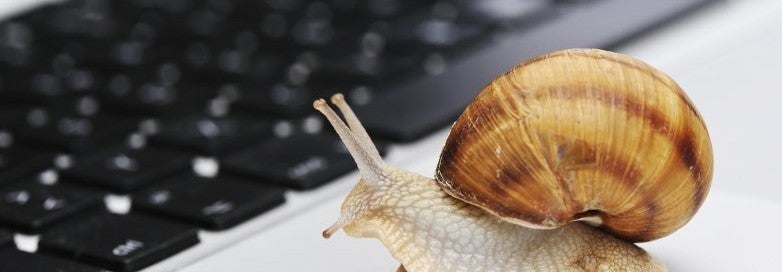 snail internet speed