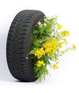 tyre flower